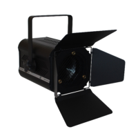 DTS Scena 650 Halogen Fresnel